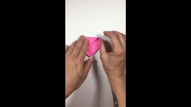 PETAL FOLD